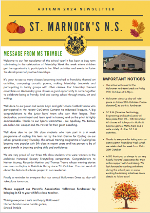 Autumn 2024 Newsletter